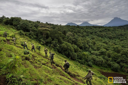 汽车品牌占有量_煤人均占有量