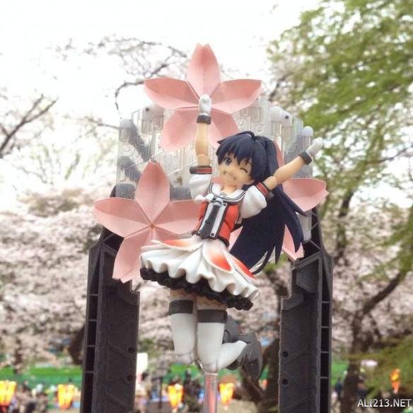 日本网友分享带着手办赏花的照片, 将手办足够