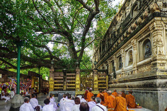 菩提伽耶那烂陀寺|佛教为什么在印度消亡 - 30