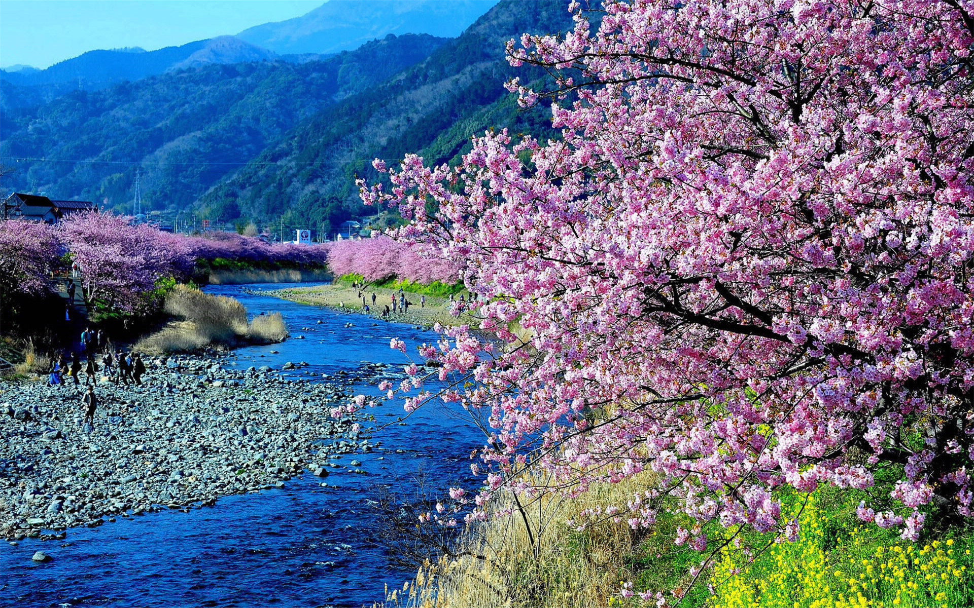 4月30日 | 日進月歩