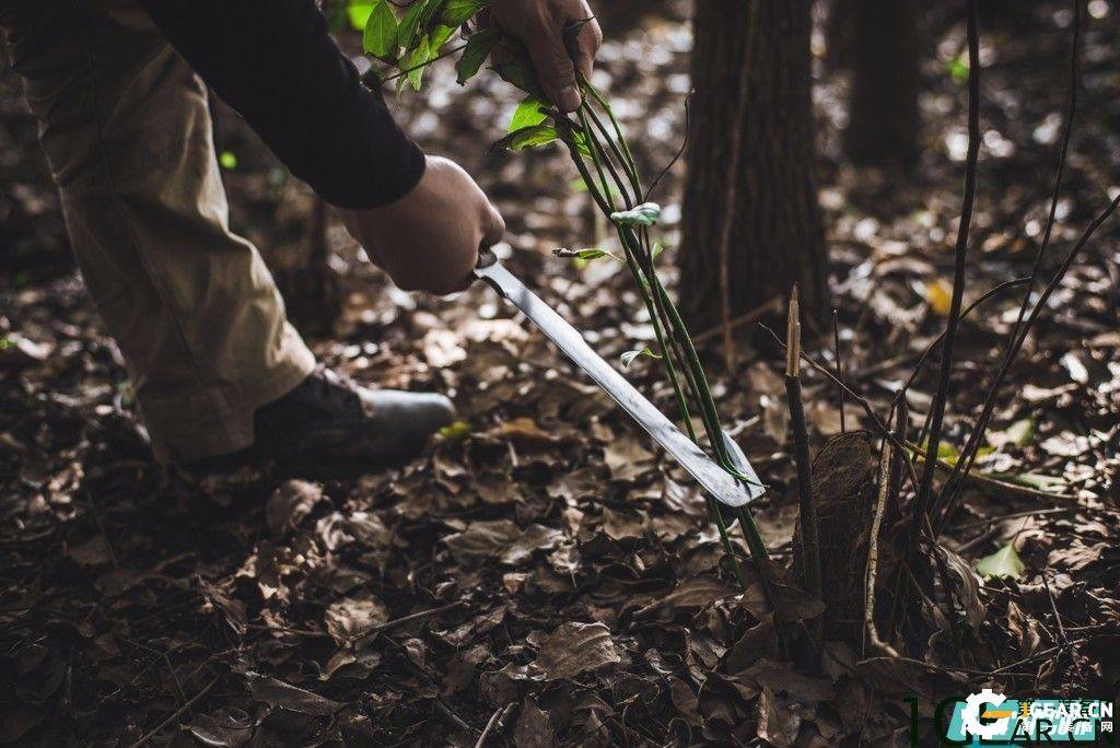 浅谈格斗刀、战术刀、生存刀的特点