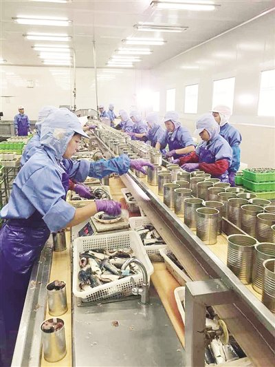 探索漳州罐头行业取胜之道 十强中缘何占三