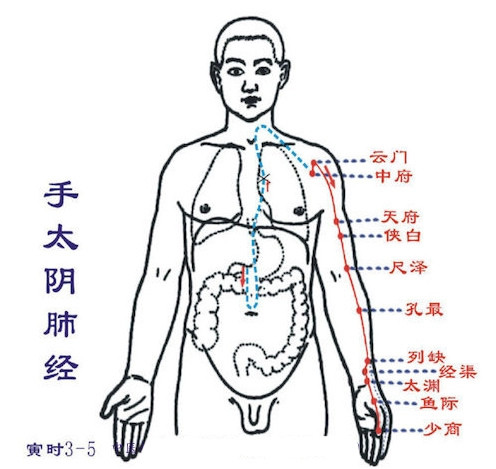 1.容易感冒拍肺经