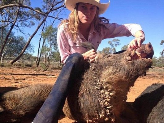 你造吗? 澳洲现在流行美女粉碎野猪! ! - 3023