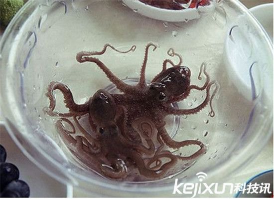 粪肉是什么? 人粪肉能吃吗? - 3023.com