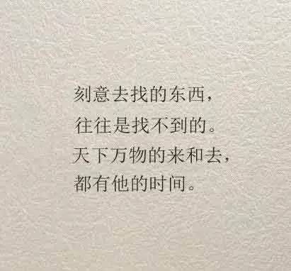 三毛最美的九句话(超棒)