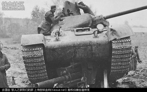 二战中,苏联为了打击德国的坦克,竟然用动物做