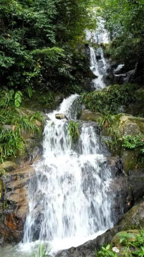 龙山镇(高龙公路) → 高安镇 → 坪水村 (2) 漳永高速 → 新圩(华安