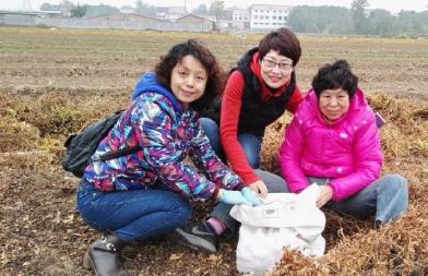 小龙虾每亩一年收入_农村一年收入