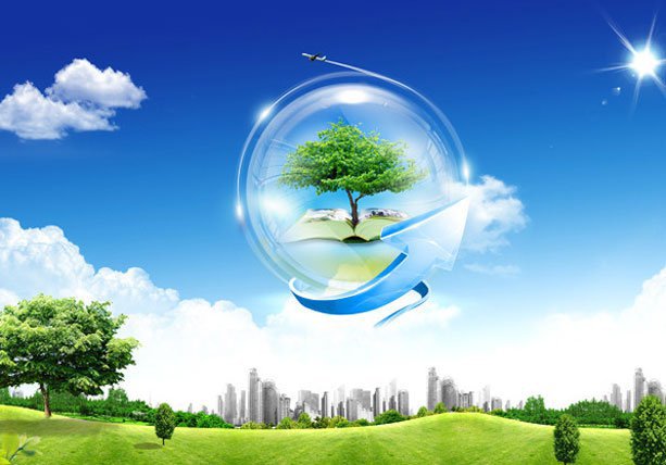 这么多人推销保险, 再不懂点相关知识就等着被