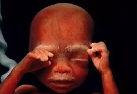 怀孕36周,这几天老感觉头有点晕,是怎么回事