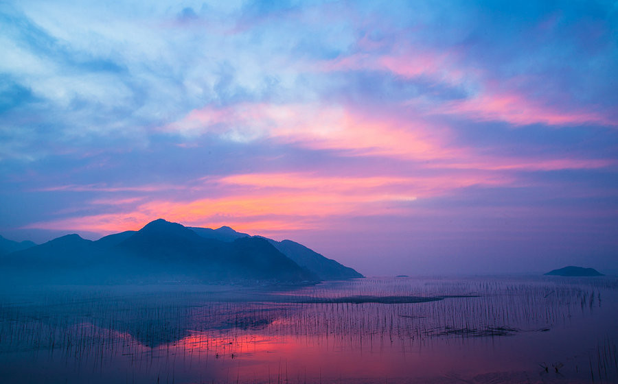  沈阳大树装假树叶  - 3023新闻 - 3023.com