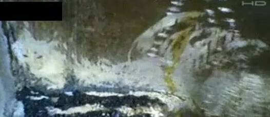 1981年骇人听闻的香港狐仙事件, 你没听说过?