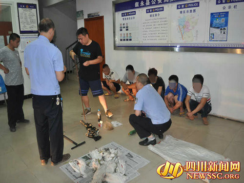 男子气枪打猎尝野味 非法猎杀16只野生动物被