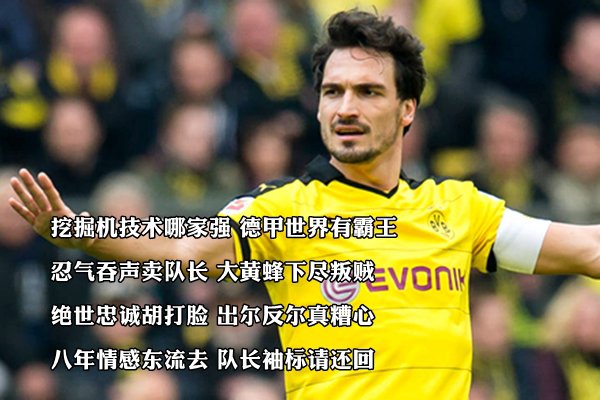 [29期]鸡汤有毒黄蜂无刺 胡向前变胡打脸 - 302