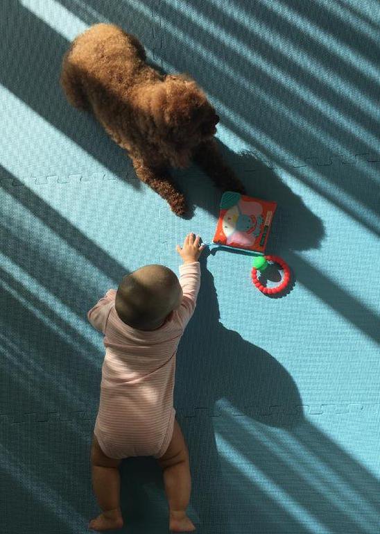 章子怡女儿趴地与宠物狗玩耍 - 3023.com