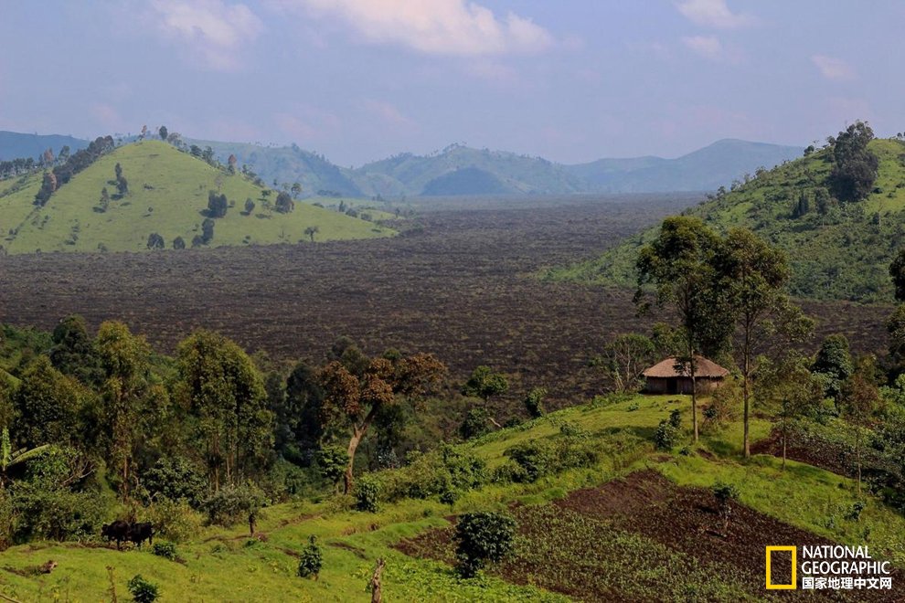 汽车品牌占有量_煤人均占有量(2)