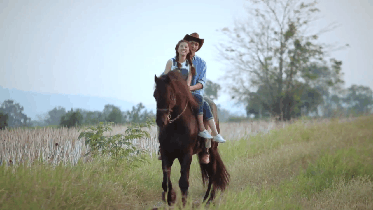 红尘作伴活得潇潇洒洒