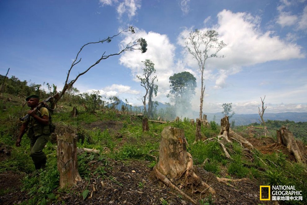 汽车品牌占有量_煤人均占有量