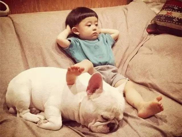 生个孩子养只狗是件多美好的事情呀! - 3023.c