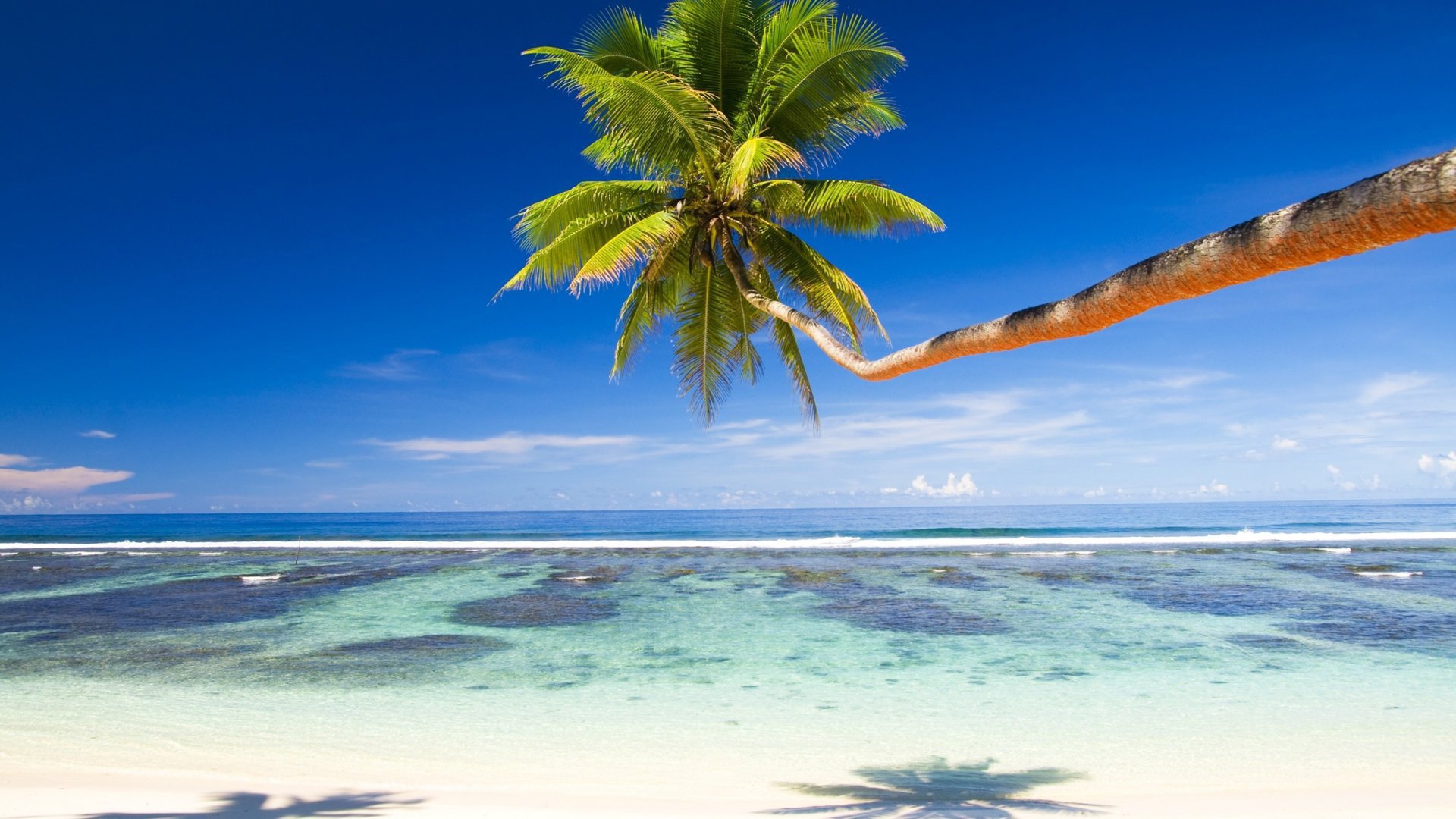 大海椰子树风光图片素材-编号27110580-图行天下