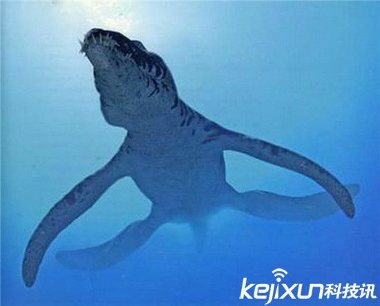 邓氏鱼生活在较浅的海域,拥有异常旺盛的食欲,使它成为当时最强的食肉动物。主要食物为鲨鱼、硬骨鱼、真骨鱼、三叶虫、菊石、鹦鹉螺、盾皮鱼、未成年同类等。邓氏鱼的外貌,给人以异常凶猛的感觉。强壮的类似于鲨鱼的纺锤形的身躯更接近现代鱼类的体形。头部与颈部覆盖着厚重且坚硬的外骨骼。虽然是肉食性鱼类,但无牙,代替牙的是位于吻部的头甲赘生,如铡刀一般,非常锐利。能切断、咬裂、粉碎任何东西。 邓氏鱼的咬合力情况 邓氏鱼是生存于距今约3.