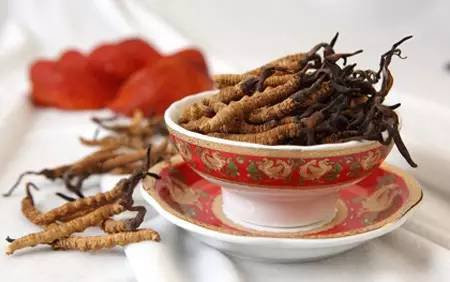 老慢支的人 有咽喉炎,常抽烟者 ——可以吃冬虫夏草,燕窝,哈士蟆或白