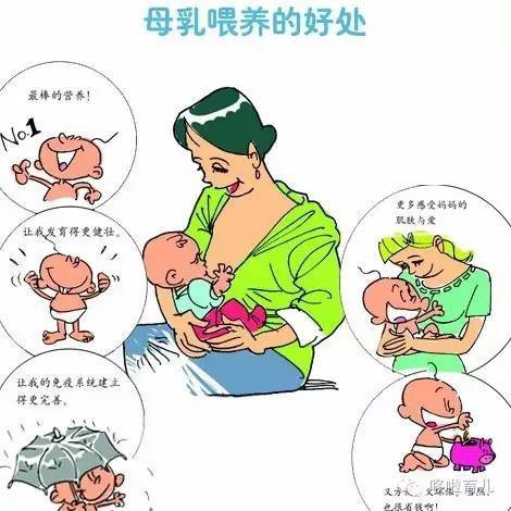 母乳雖然是最好的, 但是這些情況千萬別母乳餵養